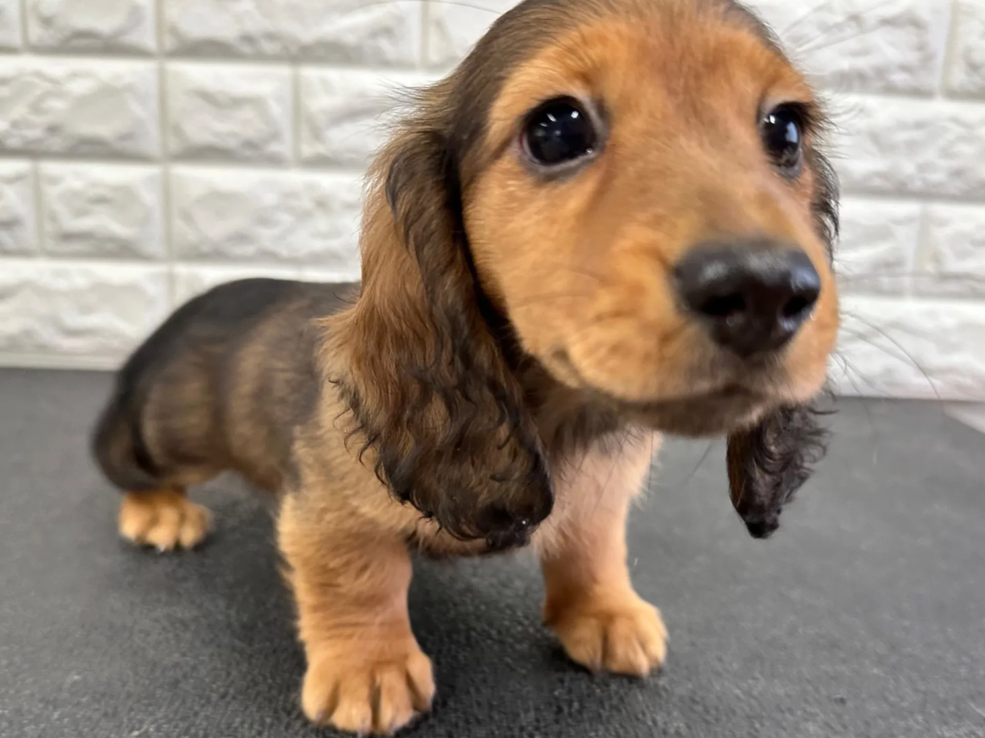 日和が成長しました💪✨